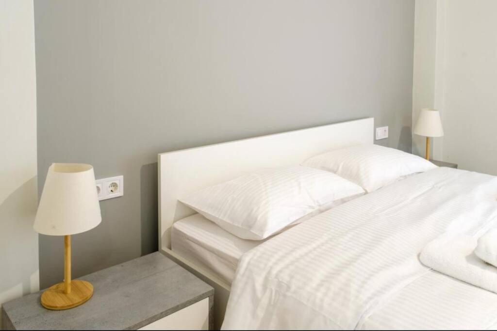 Modern Pangrati Flat! Apartman Athén Kültér fotó